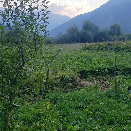 Selimaj